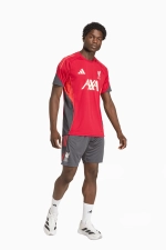 Шорты adidas Liverpool FC 25/26 Competition Training - серый