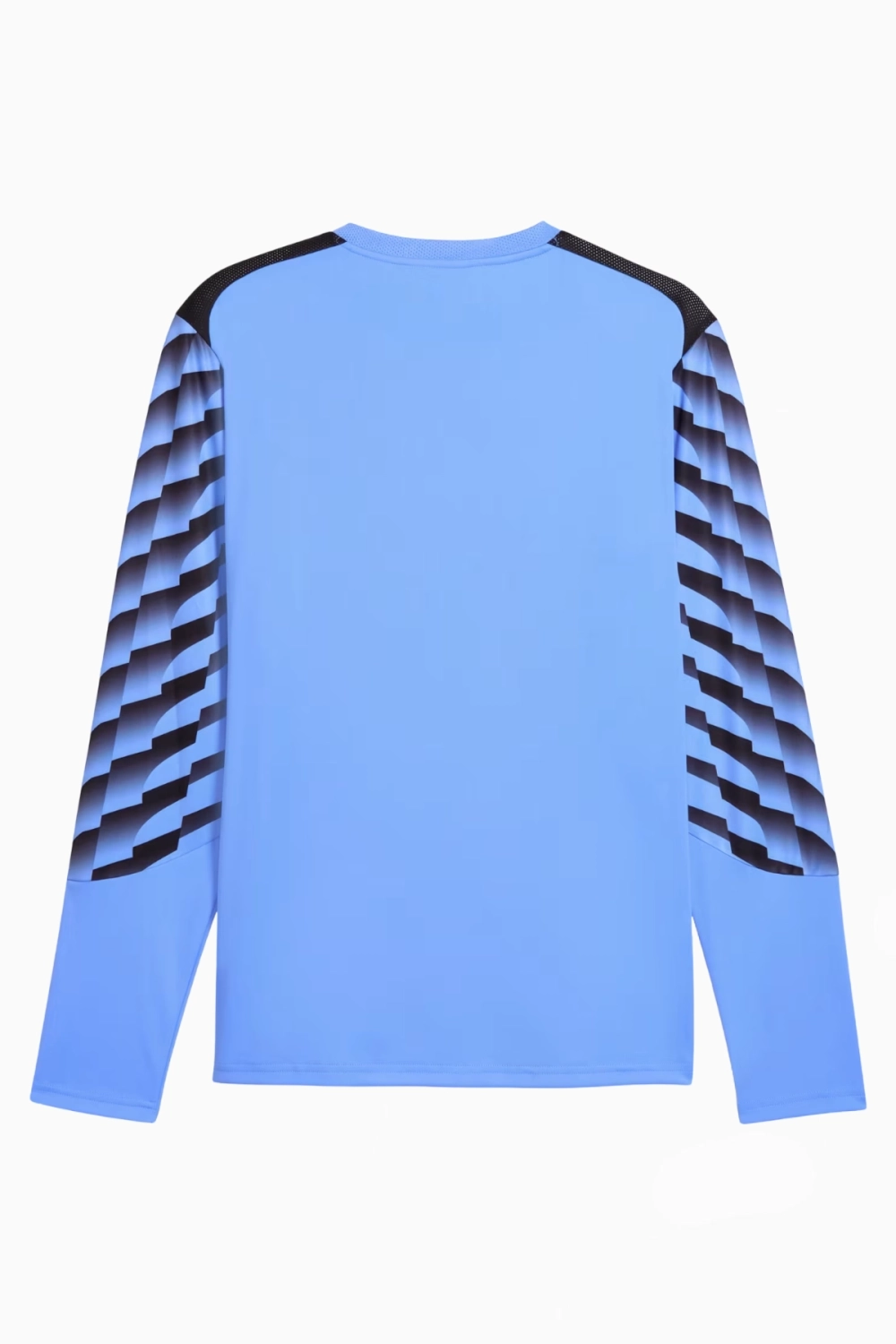 Вратарская кофта Puma teamLIGA 26 GK - голубой