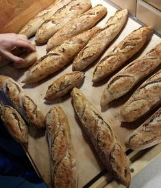 24 ноября, Москва, ВЛАЖНОЕ ТЕСТО И БАГЕТЫ, основы ведения теста