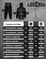 Штаны спортивные мужские Бюджет Legenda черные