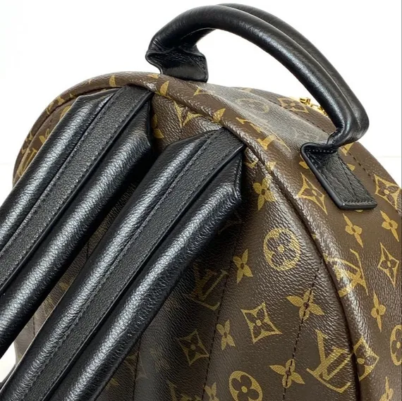 Рюкзак Louis Vuitton Palm Springs PM коричневый