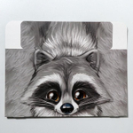 Коробка складная «Енотик», 25 × 25 × 10 см