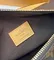 Сумка Louis Vuitton Side Trunk коричневый