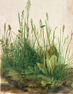 Картина для интерьера Кусок дёрна (Большой куст), художник Дюрер, Альбрехт Настене.рф