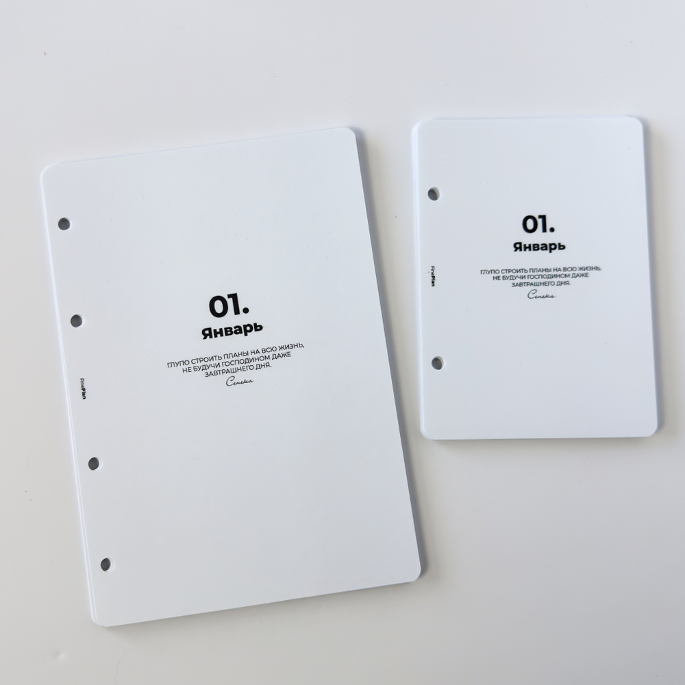 Ламинированные разделители по месяцам с цитатами (4/2 кольца)
