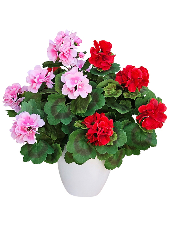 Искусственные цветы Герань красно-розовая густая 40см в белом кашпо
