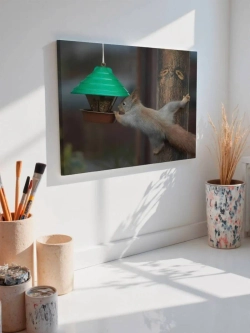 Картина на стену 40 X 50 Белка