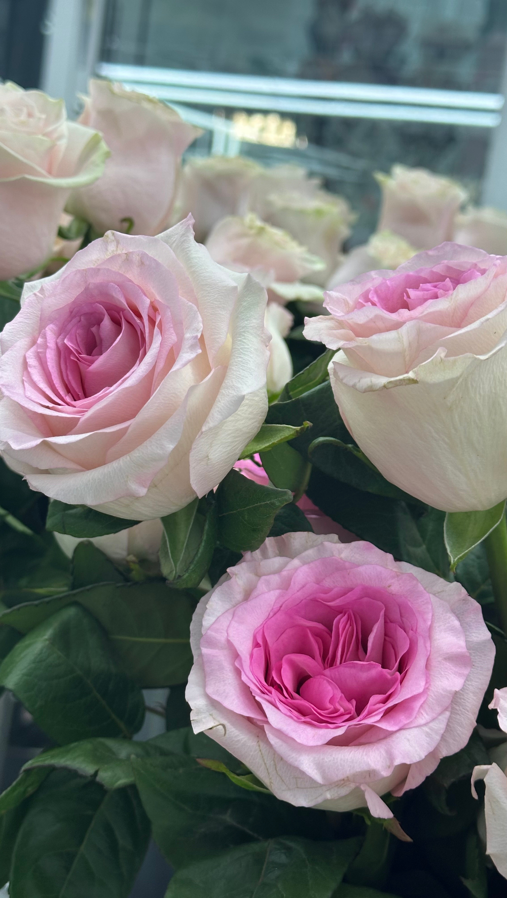 11 роз Мандала