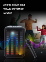 Минисистема Hyundai H-MC1204 черный