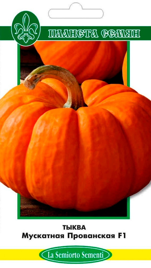 Тыква Мускатная Прованская