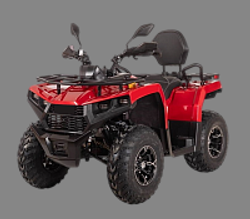 Квадроцикл Bizon YK250 BASIC CARB