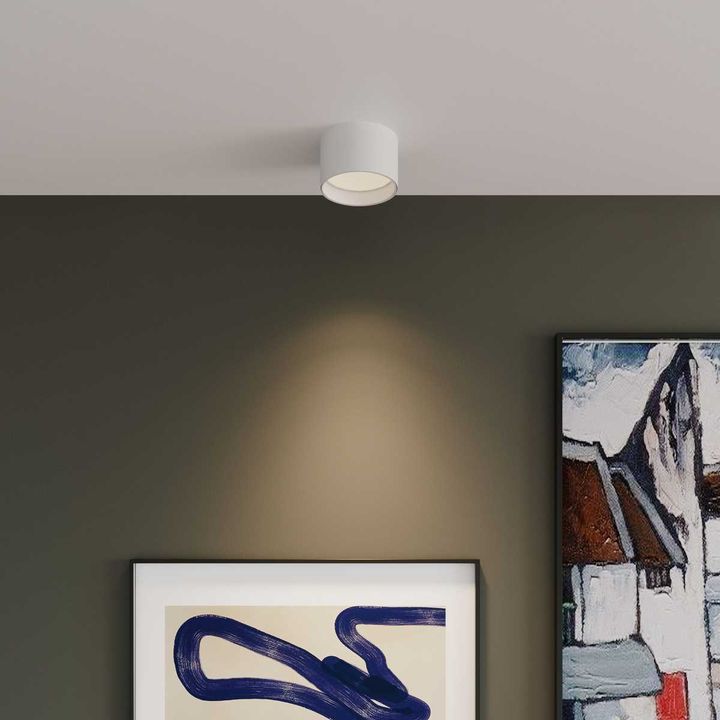 Потолочный светодиодный светильник Elektrostandard 25123/Led Banti 13Вт 4200K a058846