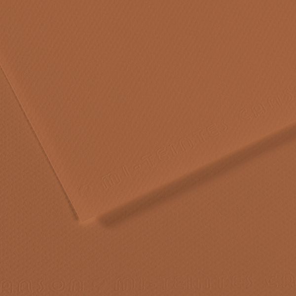 Бумага для пастели Mi-Teintes 160 г/м², 50х65 см, 10 л, №187 Цвет корицы, Canson, C31032S134