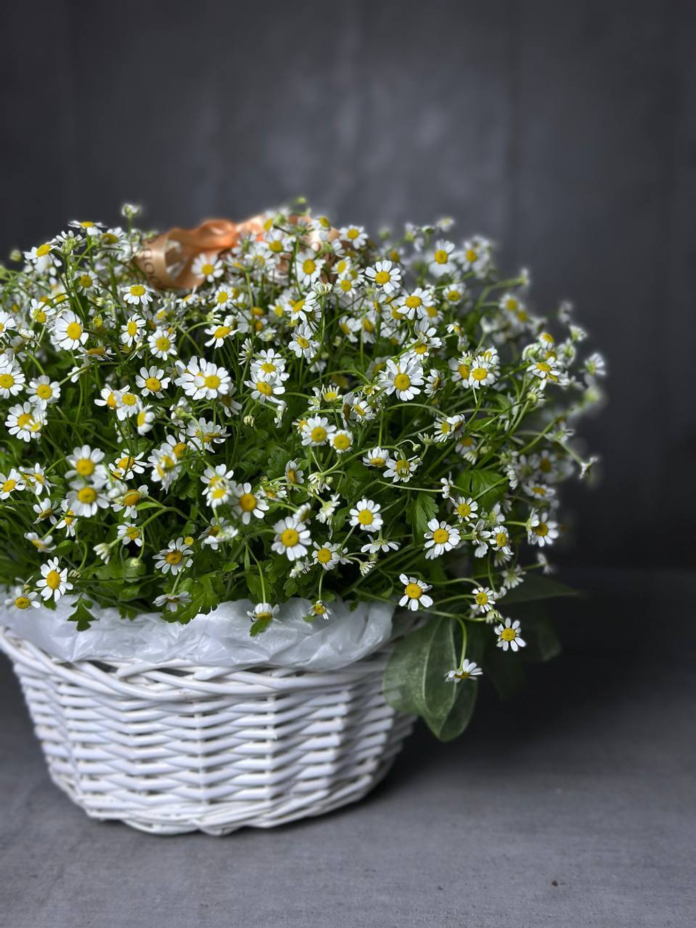 Яркая корзинка ромашек