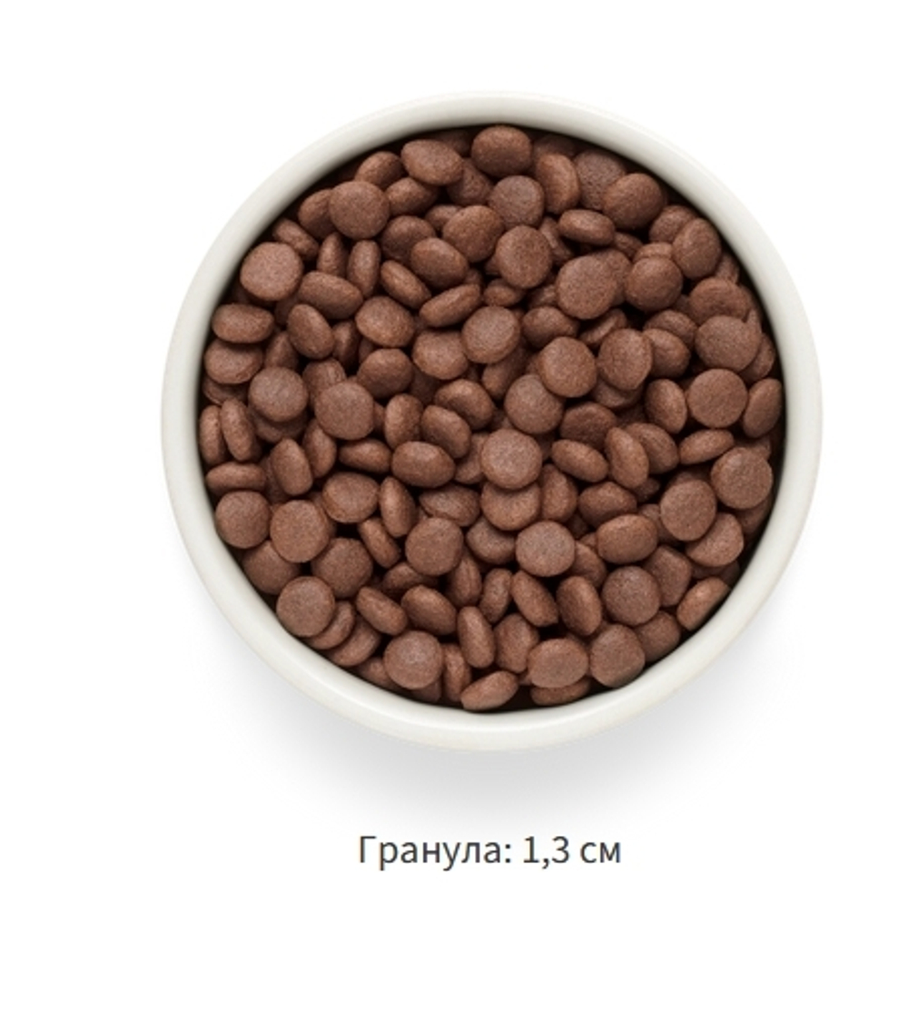 GRANDORF FRESH Ягненок с бататом для средних и крупных пород
