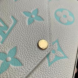 Louis Vuitton Felicie Pochette