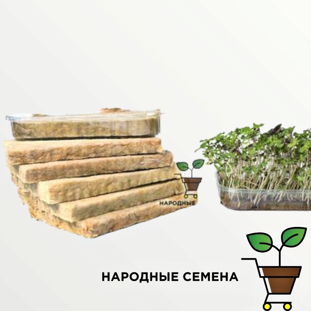 Агровата БелАгро