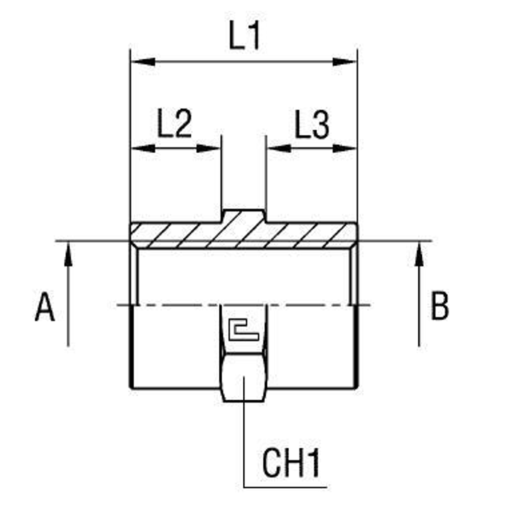 Соединение PS BSP 3/8 - BSP 3/8