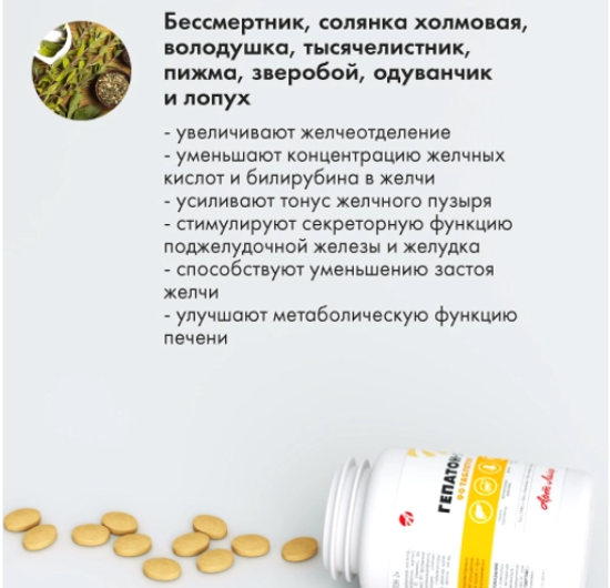Гепатон - 2