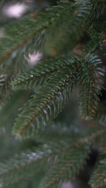 Ель искусственная «Смоленская» (Литая+пвх) 270 см / 2,7 м