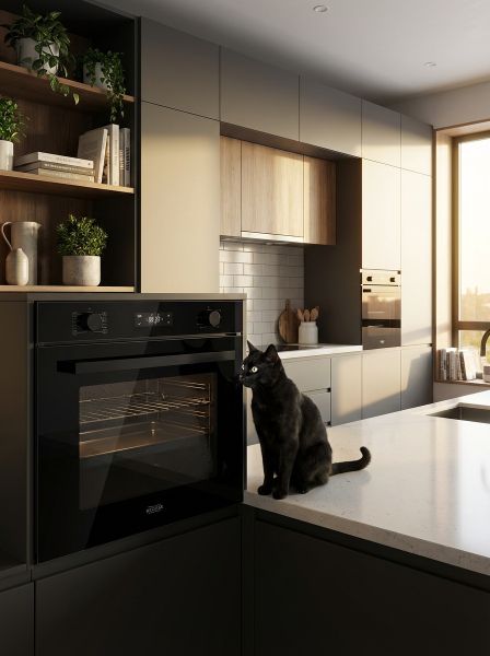 Функции духовых шкафов Kanzler: что это и как они облегчают готовку Функции духовых шкафов Kanzler: что это и как они облегчают готовку