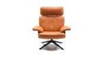 Кресло DeSede DS-31/111 High-back armchair