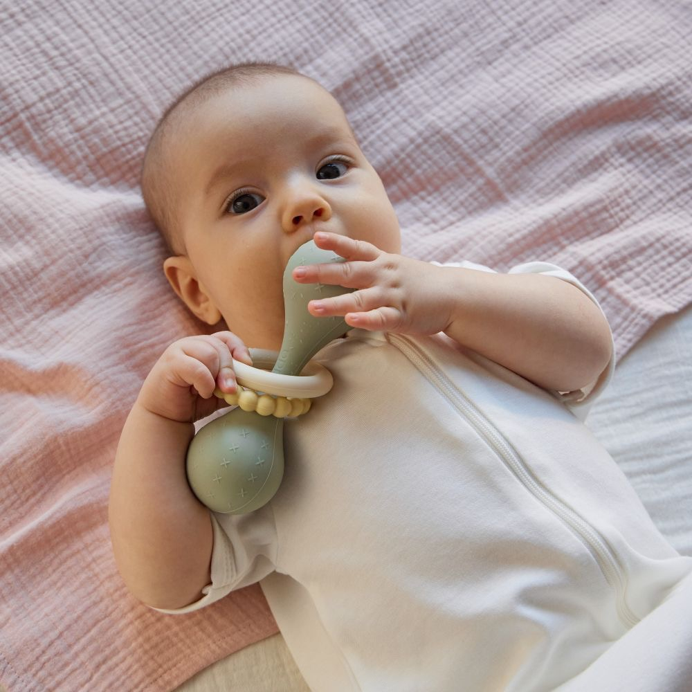 Погремушка Гантеля, Шалфей