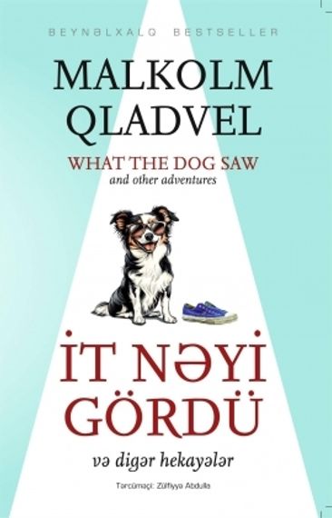 İt nəyi gördü