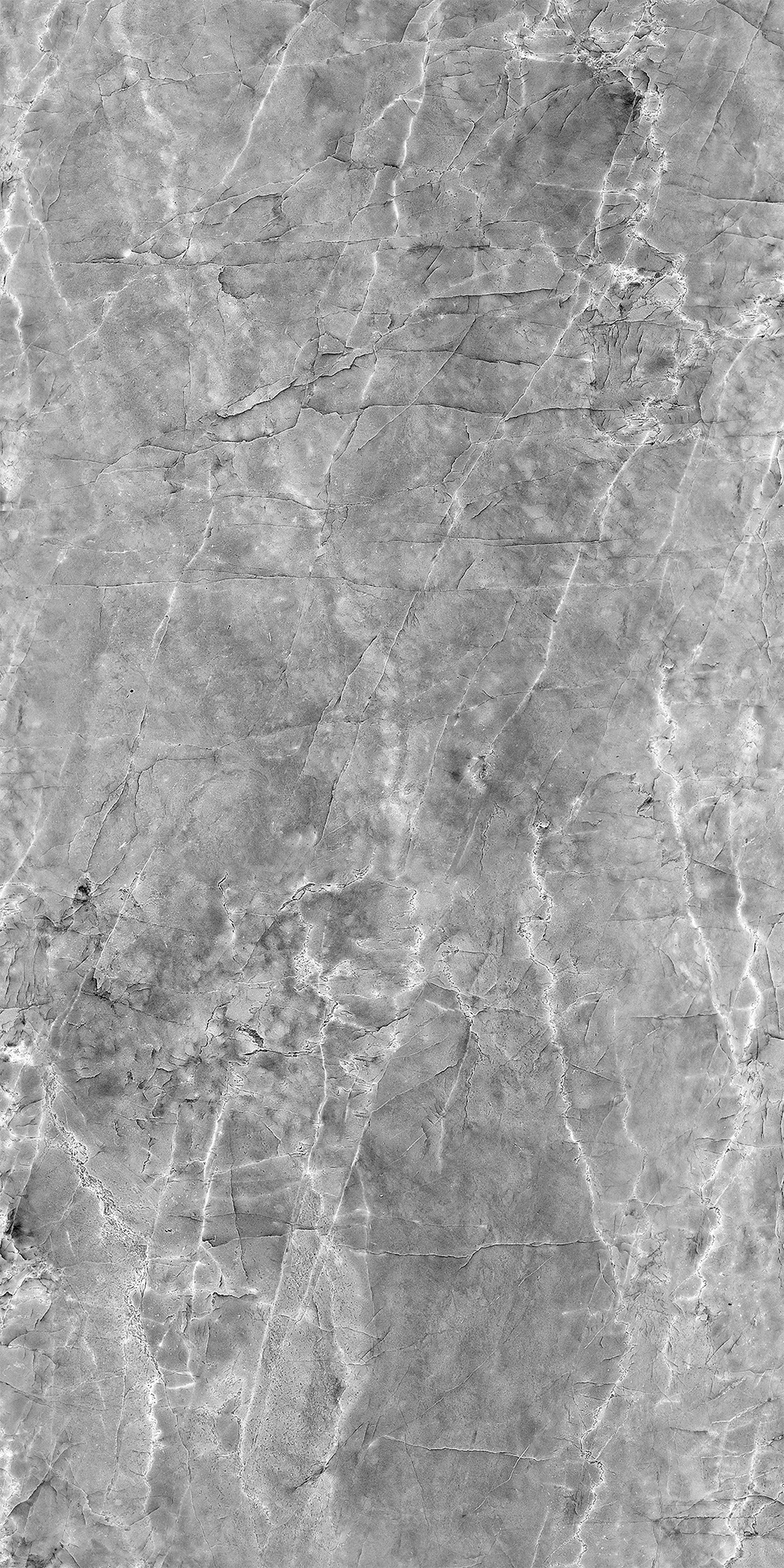 Шерл Сильвер