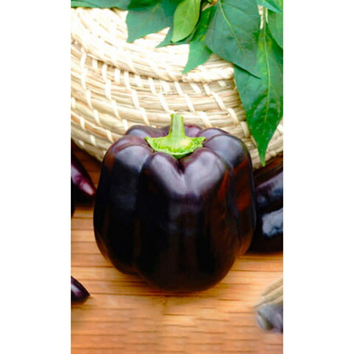 Семена Перец сладкий Гигант Черный F1 (УД) Е/П