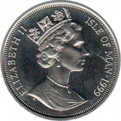 Британская короткошёрстная кошка