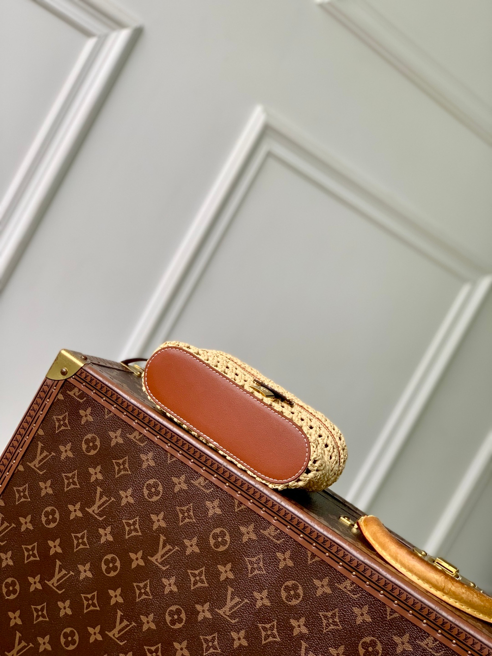 Louis Vuitton Vanity Chain Pouch