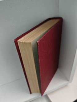 Полное собрание сочинений А. К. Шеллера-Михайлова. Том 11. Семья Муратовых