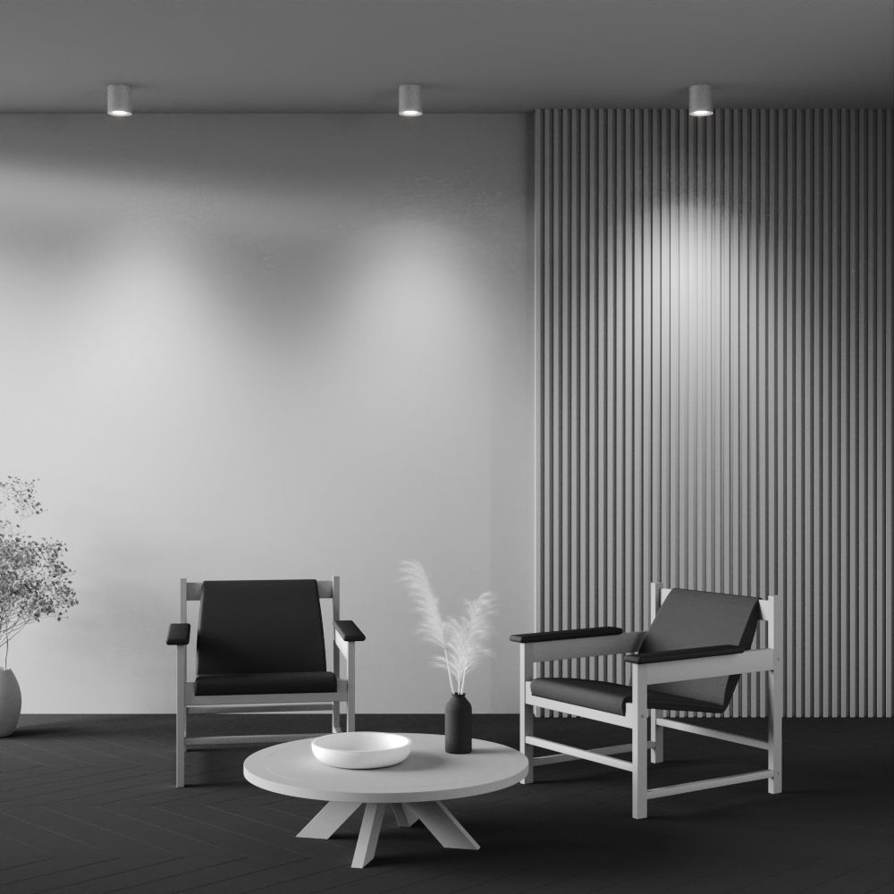 Светильник потолочный Maytoni   C094-GU10-W