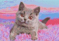 Almazlı Mozaika Lori 21*30 Сm   "Британский котенок"