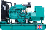 Дизельный генератор MGE P200CS (NT855-GA) в контейнере — Фото №6 