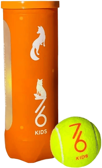 Мячи теннисные 7/6 Orange (3 мяча в банке), арт. TB-004