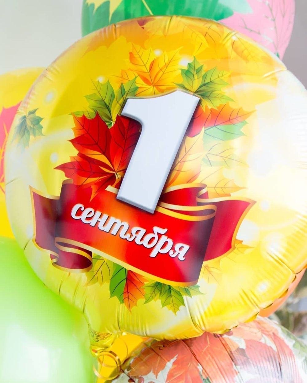 Круг 45 см 1 сентября №1 (БГ-15)  Изображение5