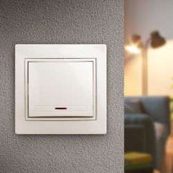 1-102-02 Intro Выключатель с подсветкой, 10А-250В, IP20, СУ, Plano, сл.кость | Intro Plano Слоновая кость