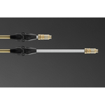 Опрыскиватель аккумуляторный телескопический Caiman Telescopic 15EW, 15 л, 5,5 бар, 12 кг