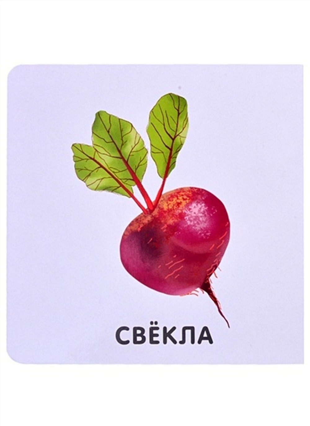 Овощи. Моя самая первая книжка