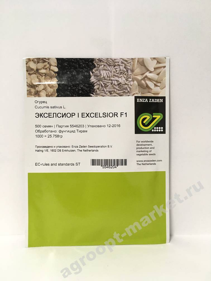 Эксельсиор F1 семена огурца партенокарпического (Enza Zaden / Энза Заден) – фото 2