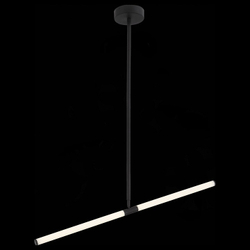 Светильник на штанге ST-Luce Bisaria SL393.403.02