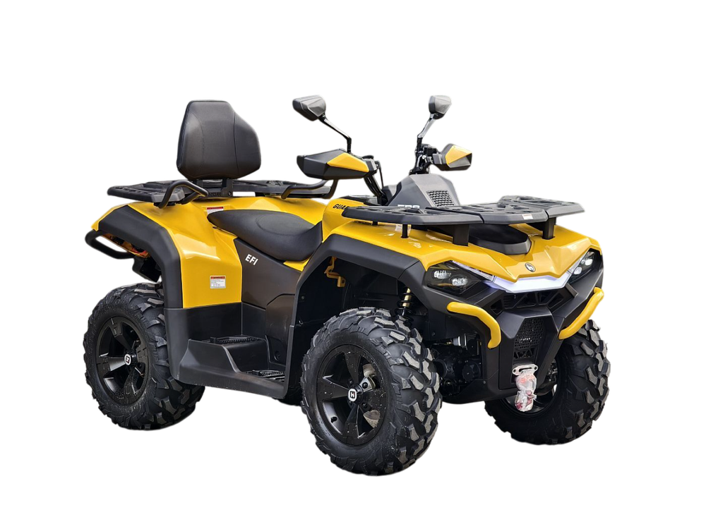 Квадроцикл HiSUN GUARDIAN 750L с ПСМ