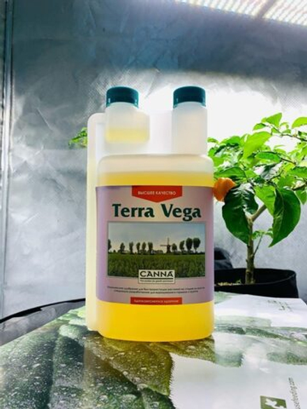 Canna Terra Vega 1 л