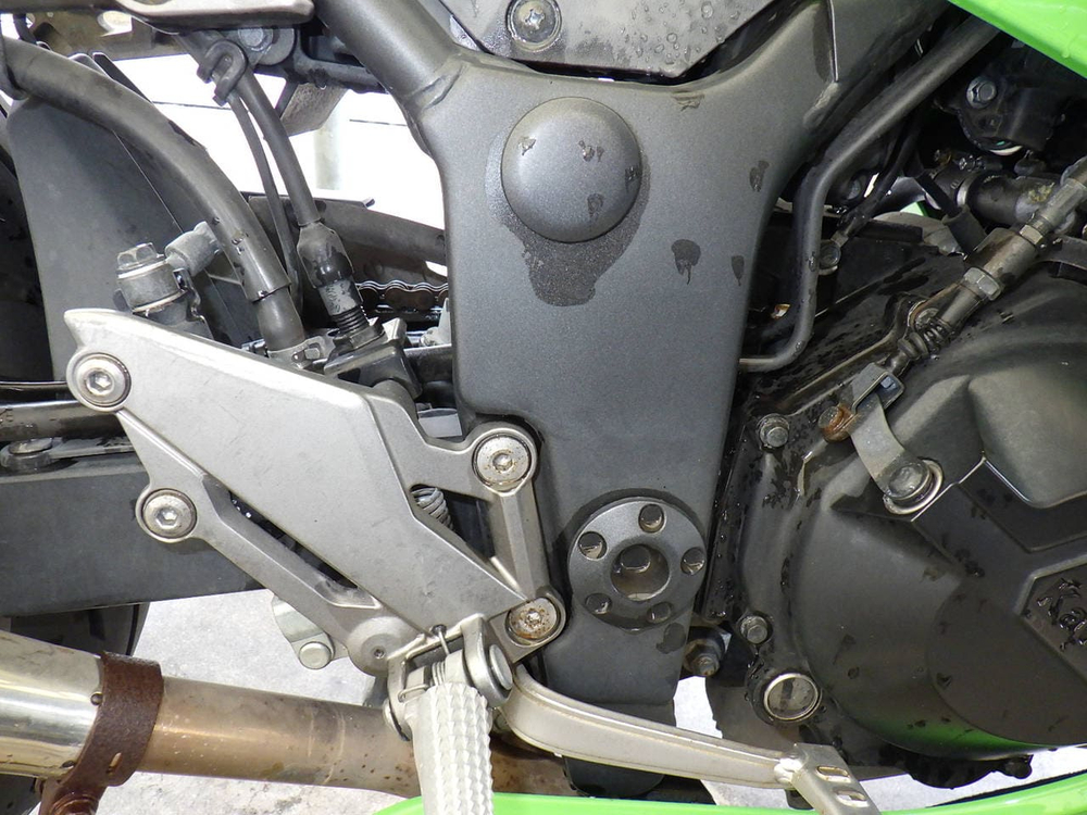 Kawasaki Ninja 250 2014