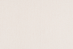 Велюр Discovery / Дискавери