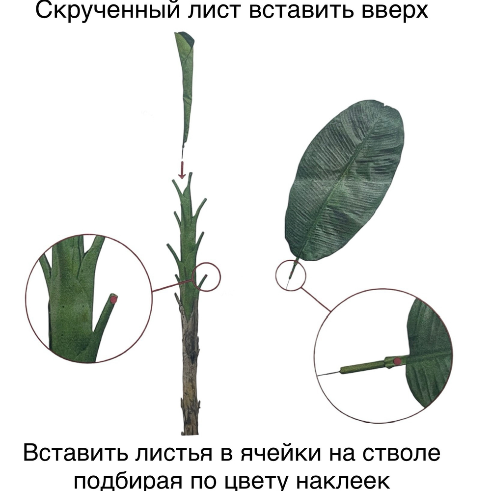 Банановая пальма 186 см.