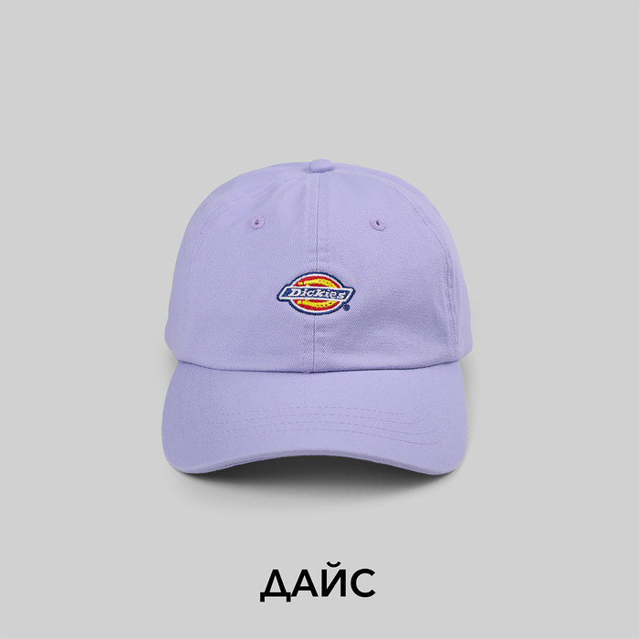 Кепка Dickies Hardwick 6 Panel Logo артикул:DK0A4TKVH181 - купить в магазине Дайс