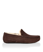 ASCOT MENS chocolate